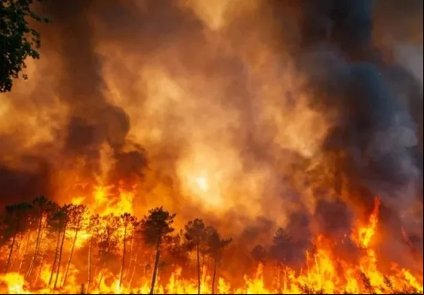 Incêndios florestais
